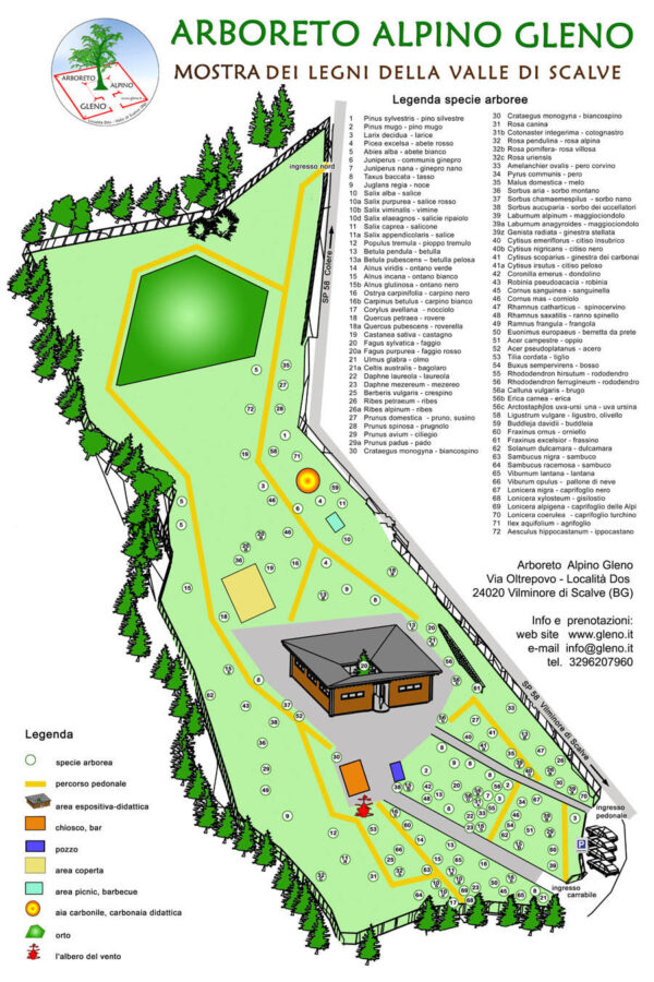 Botanical species at Gleno Alpine Arboretum