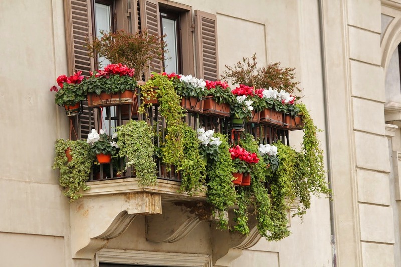 Vilminore in Fiore