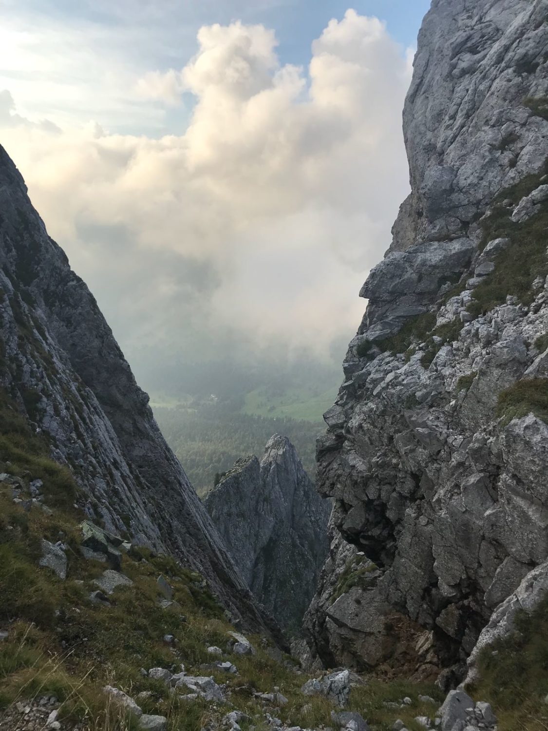 Cimon Della Bagozza Dal Passo Del Valzellazzo