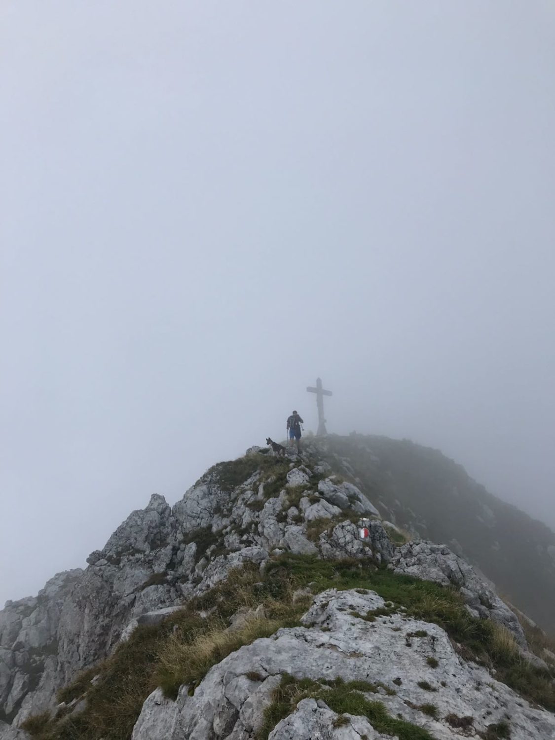 Cimon Della Bagozza Dal Passo Del Valzellazzo